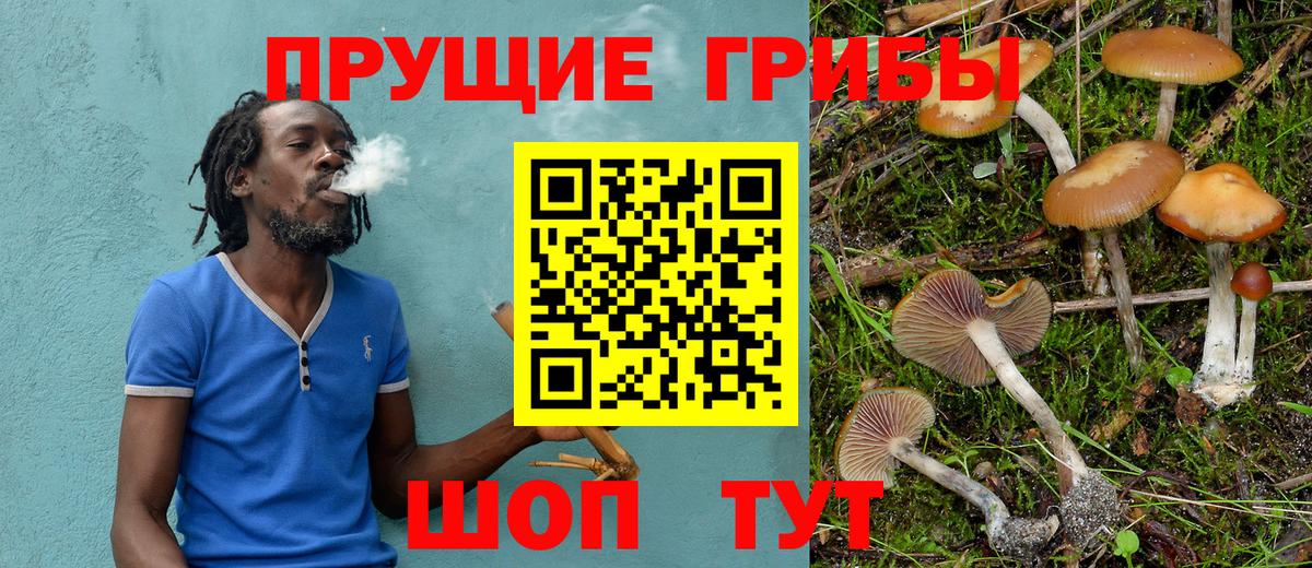 Дмитров  Галлюциногенные грибы ЛСД  наркошоп  Вход с VPN 